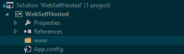 Visual Studio Solution Explorer showing the www folder structure